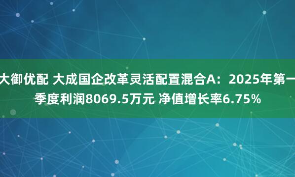 大御优配 大成国企改革灵活配置混合A：2025年第一季度利润8069.5万元 净值增长率6.75%